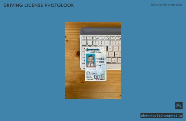 USA Pennsylvania Führerschein unter 21 Jahren 21 Fotolook Beispielvorschau